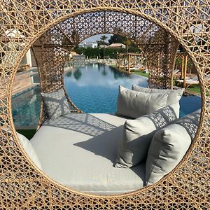 Exotic Sea Boutique Adults Only